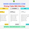 Pricing table paket layanan SEO dan digital marketing dari SBG Web SEO