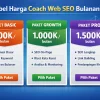 Harga Jasa Coaching Web Seo Bulanan